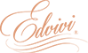 Edvivi Lighting Logo